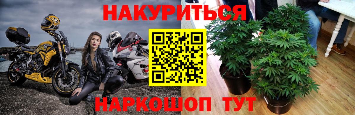 Бошки марихуана VHQ  Бошки Шишки сатива  Лесной  Вход с VPN  МАРИХУАНА LSD WEED 